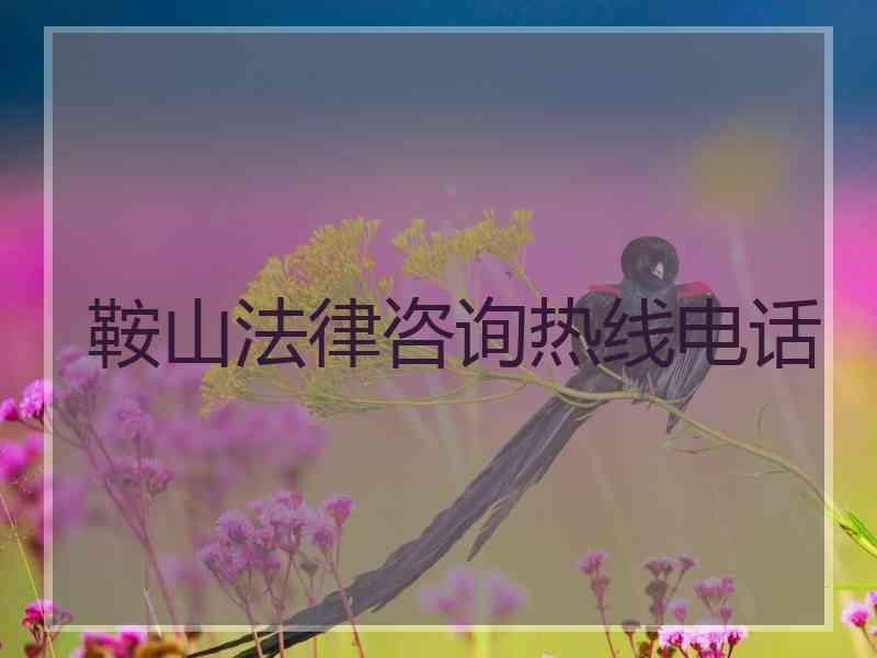 鞍山法律咨询热线电话