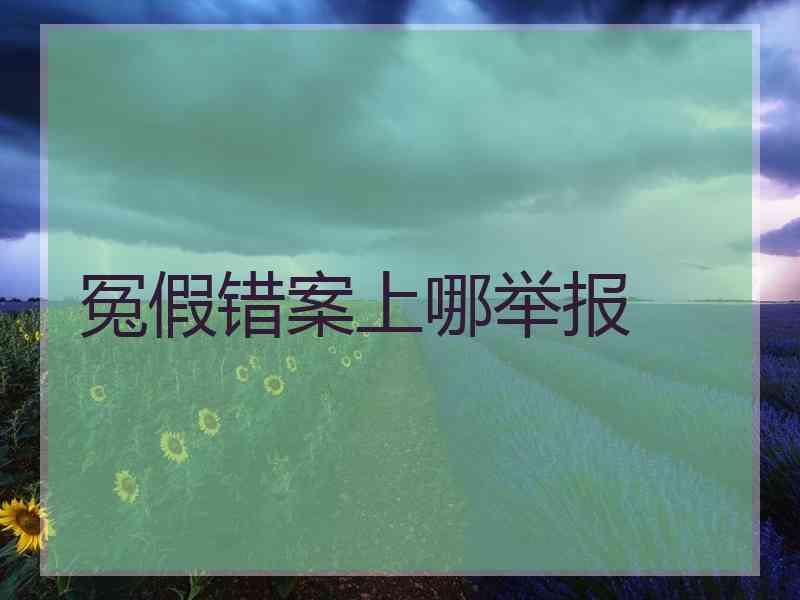 冤假错案上哪举报