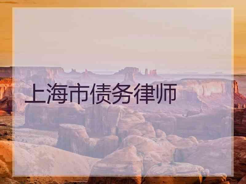 上海市债务律师