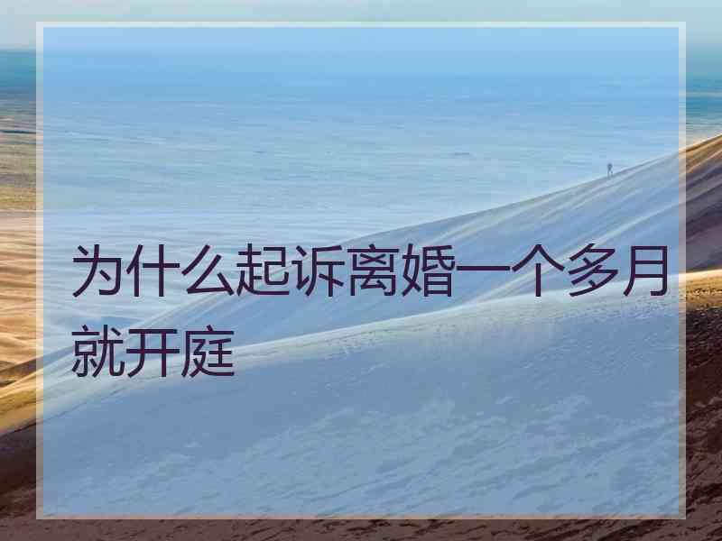 为什么起诉离婚一个多月就开庭
