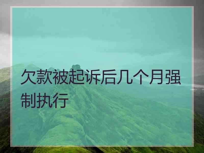 欠款被起诉后几个月强制执行