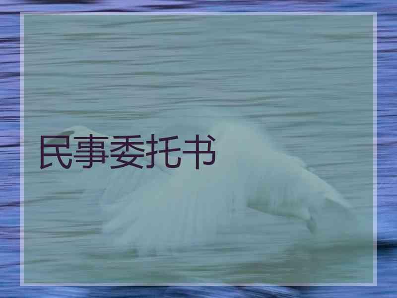 民事委托书