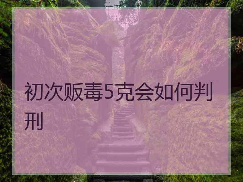 初次贩毒5克会如何判刑