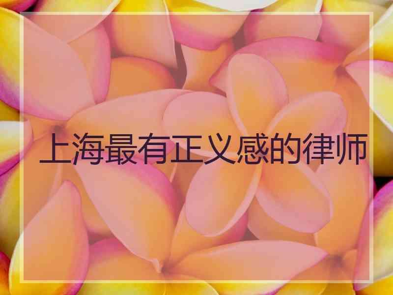 上海最有正义感的律师