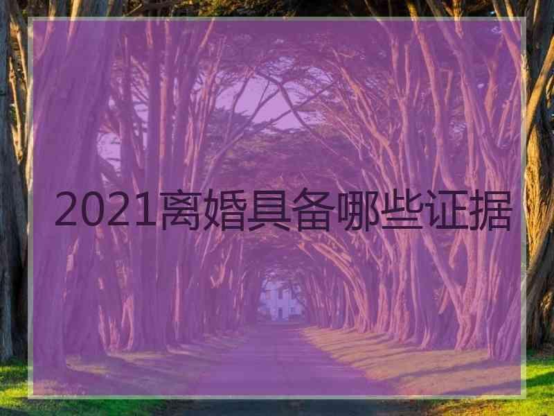 2021离婚具备哪些证据