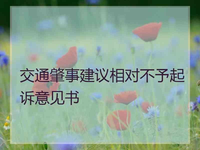 交通肇事建议相对不予起诉意见书