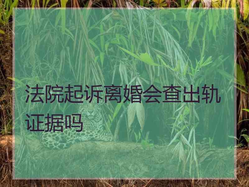 法院起诉离婚会查出轨证据吗