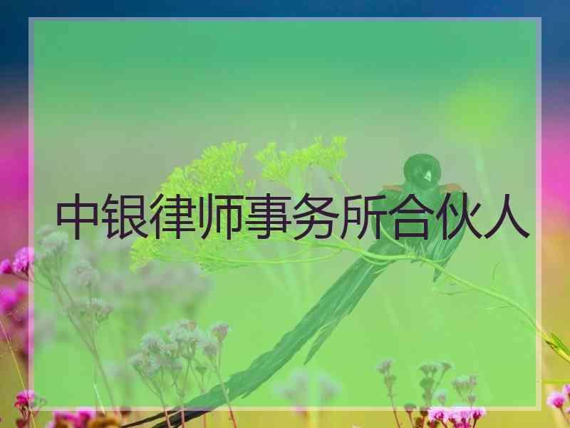 中银律师事务所合伙人