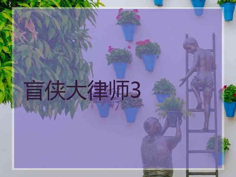 盲侠大律师3