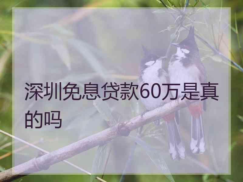 深圳免息贷款60万是真的吗