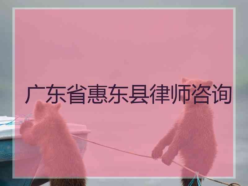 广东省惠东县律师咨询