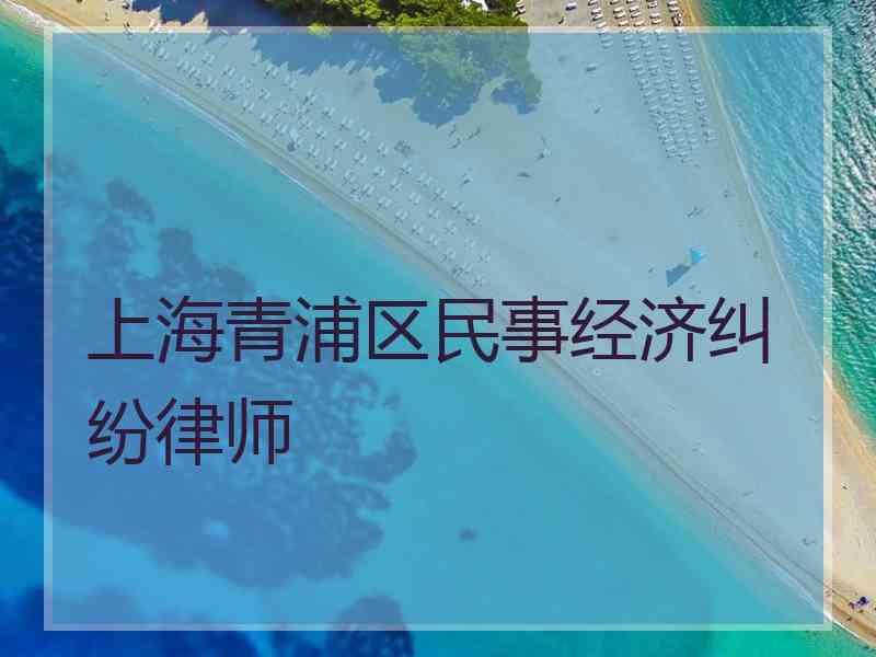 上海青浦区民事经济纠纷律师