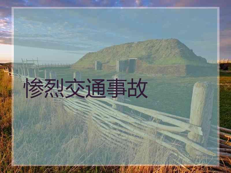 惨烈交通事故