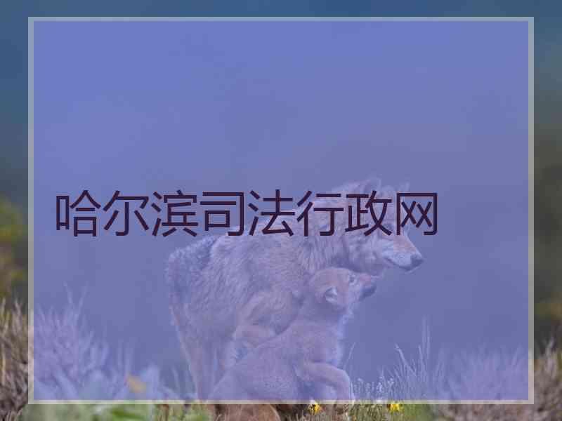 哈尔滨行政网