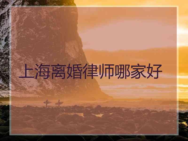 上海离婚律师哪家好