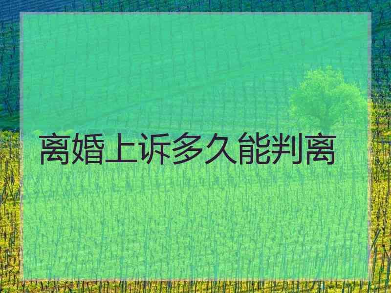 离婚上诉多久能判离