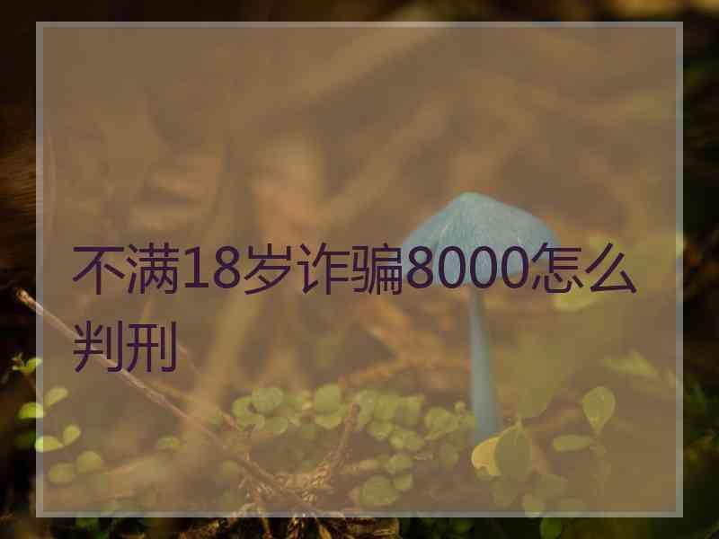 不满18岁诈骗8000怎么判刑