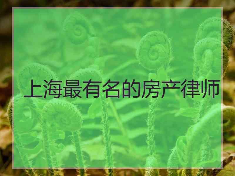 上海最有名的房产律师