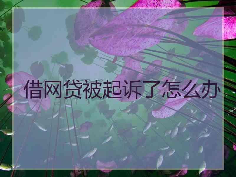 借网贷被起诉了怎么办