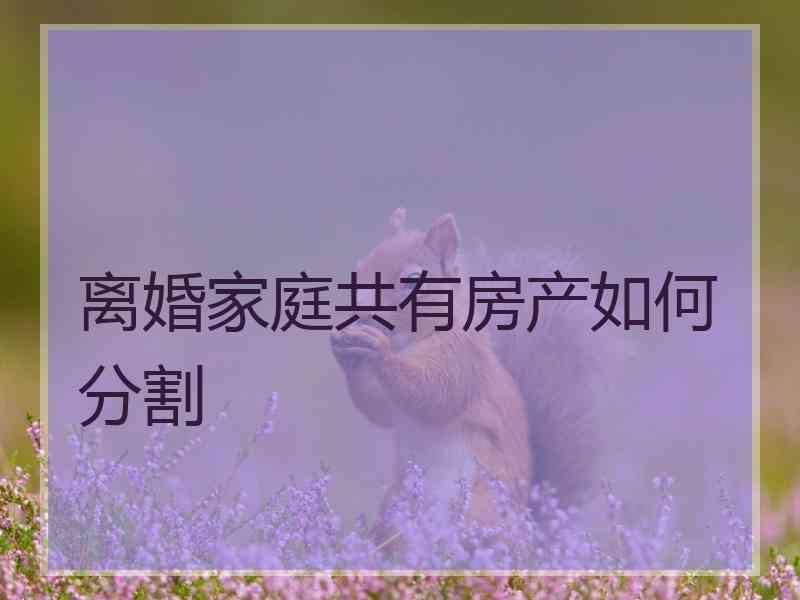 离婚家庭共有房产如何分割