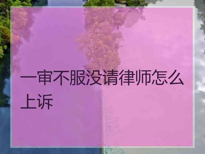 一审不服没请律师怎么上诉