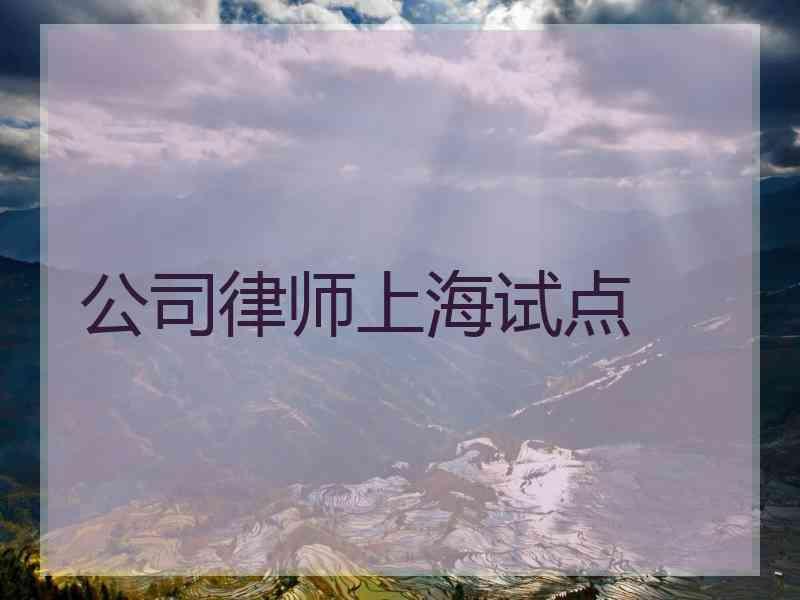 公司律师上海试点