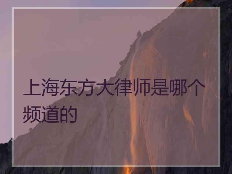 上海东方大律师是哪个频道的