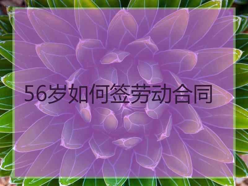 56岁如何签劳动合同