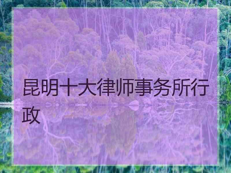 昆明十大律师事务所行政