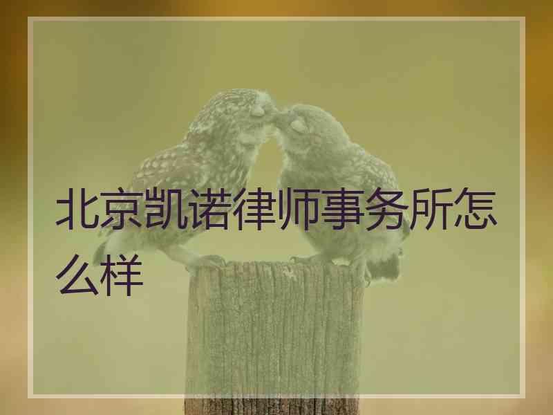 北京凯诺律师事务所怎么样