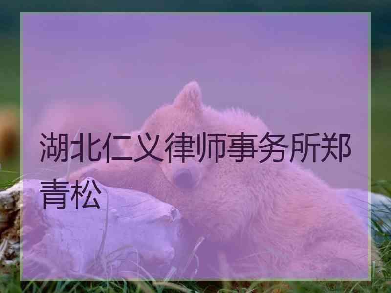 湖北仁义律师事务所郑青松