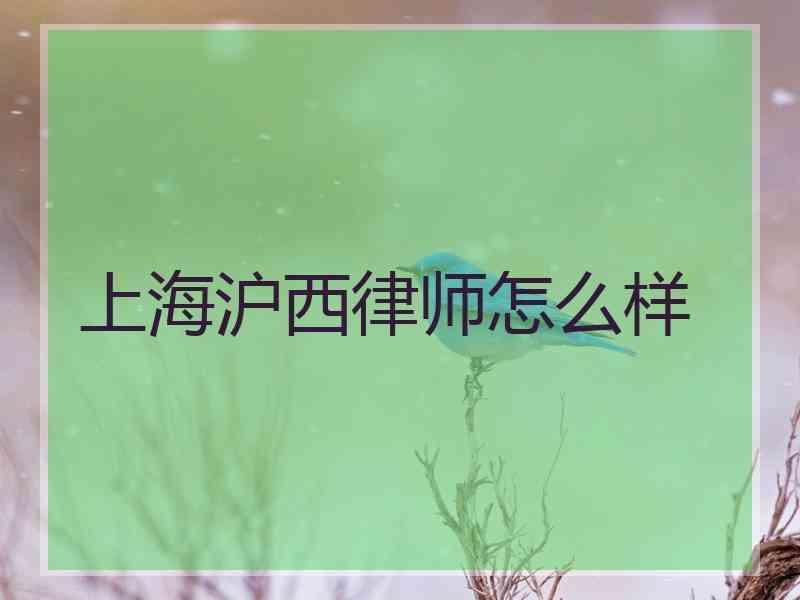 上海沪西律师怎么样