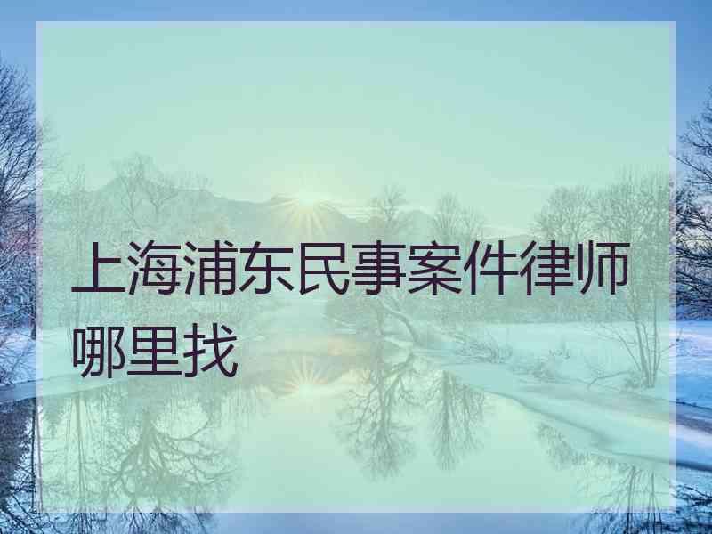 上海浦东民事案件律师哪里找