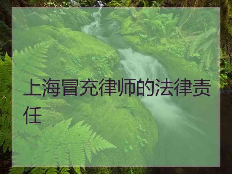 上海冒充律师的法律责任