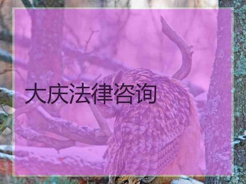 大庆法律咨询