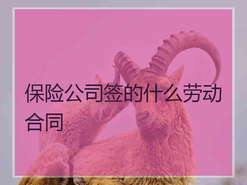 保险公司签的什么劳动合同