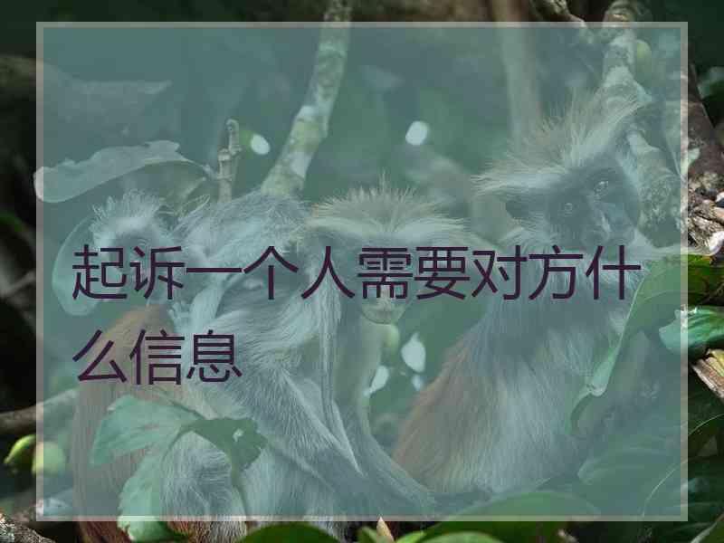 起诉一个人需要对方什么信息