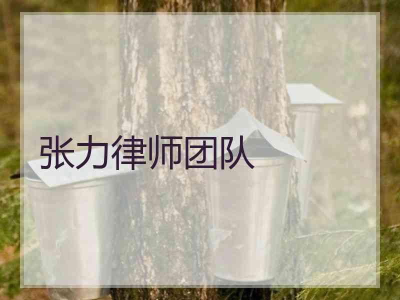 张力律师团队
