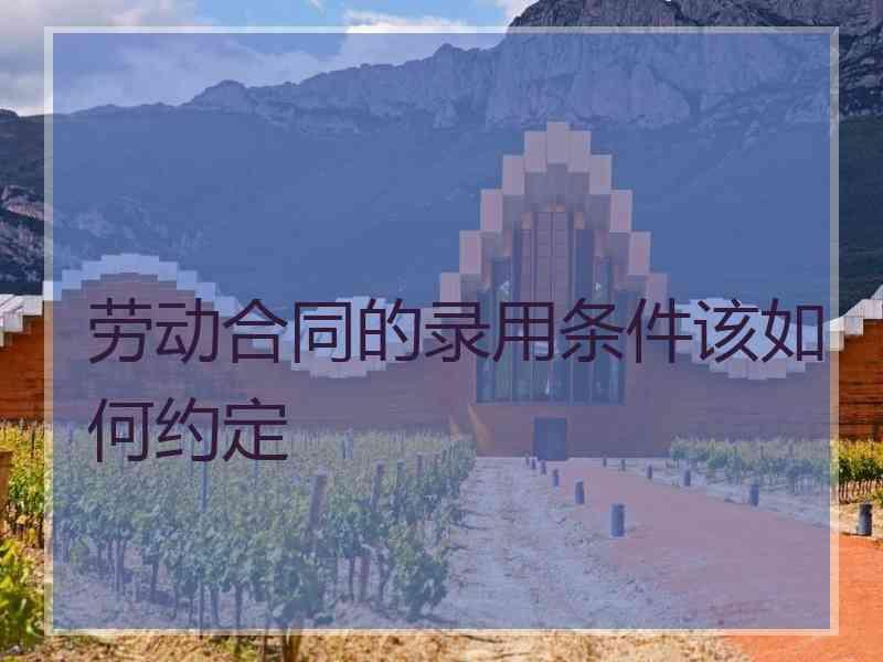 劳动合同的录用条件该如何约定