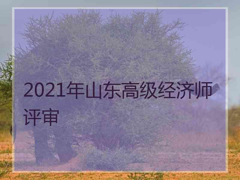 2021年山东高级经济师评审