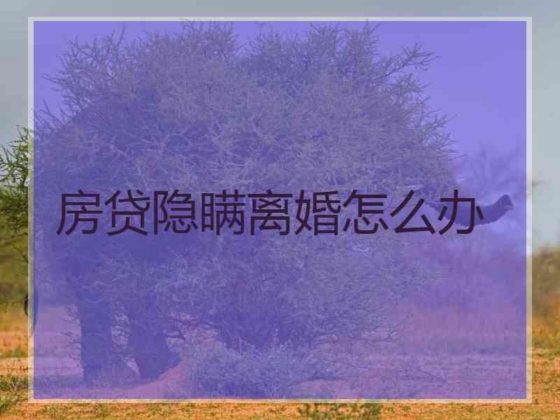 房贷隐瞒离婚怎么办