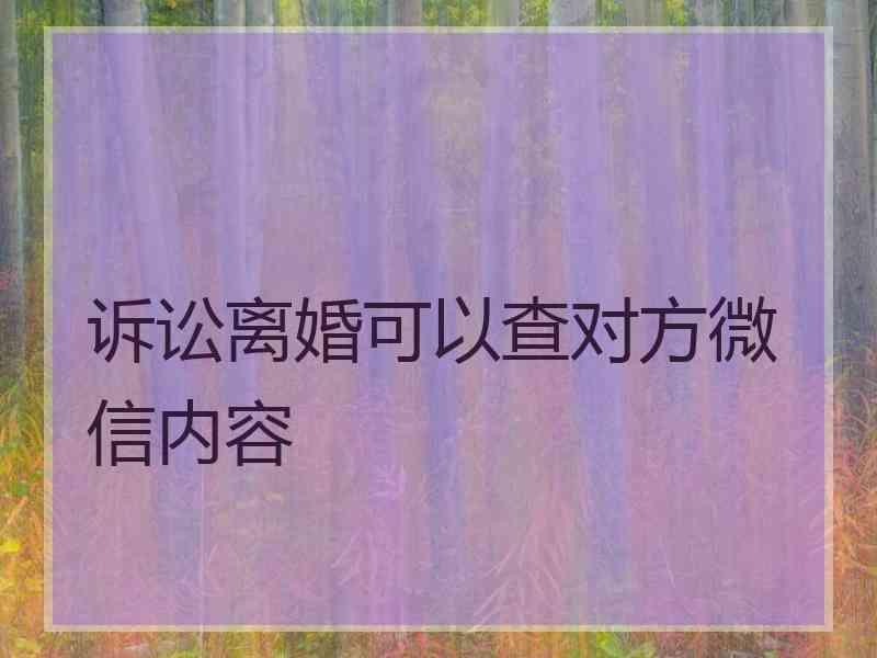 诉讼离婚可以查对方微信内容