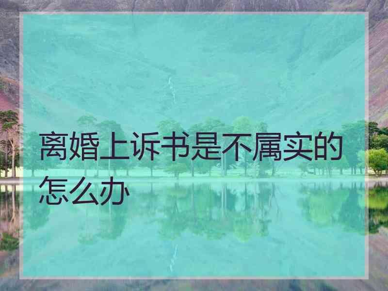 离婚上诉书是不属实的怎么办