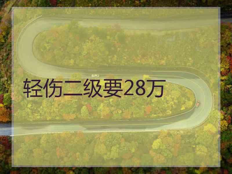 轻伤二级要28万