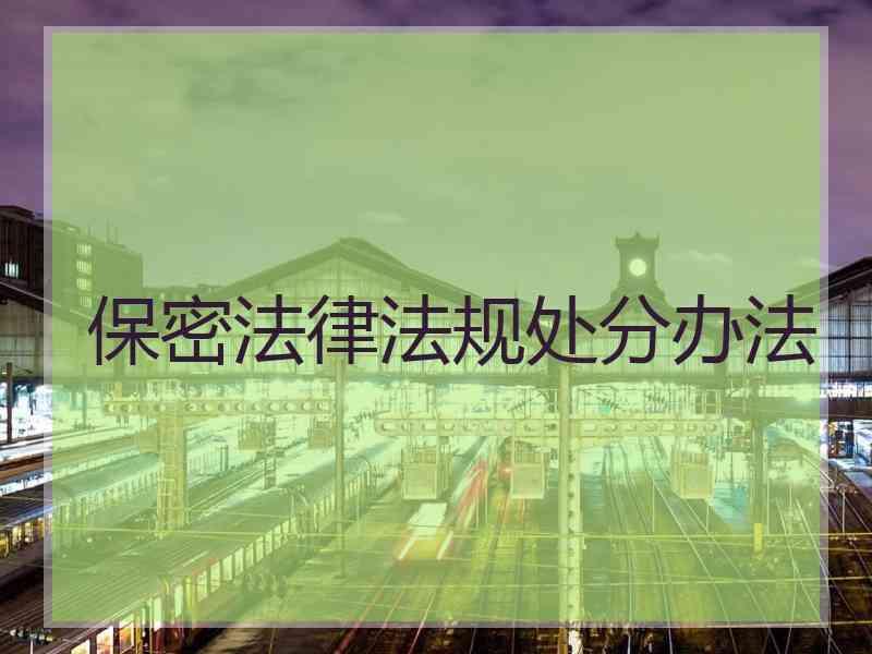 保密法律法规处分办法