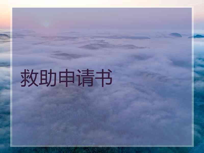 救助申请书