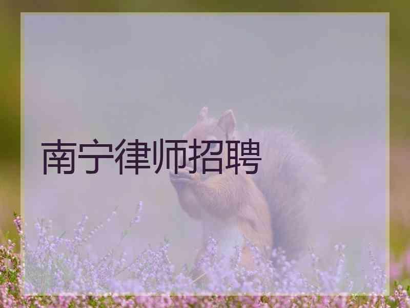 南宁律师招聘