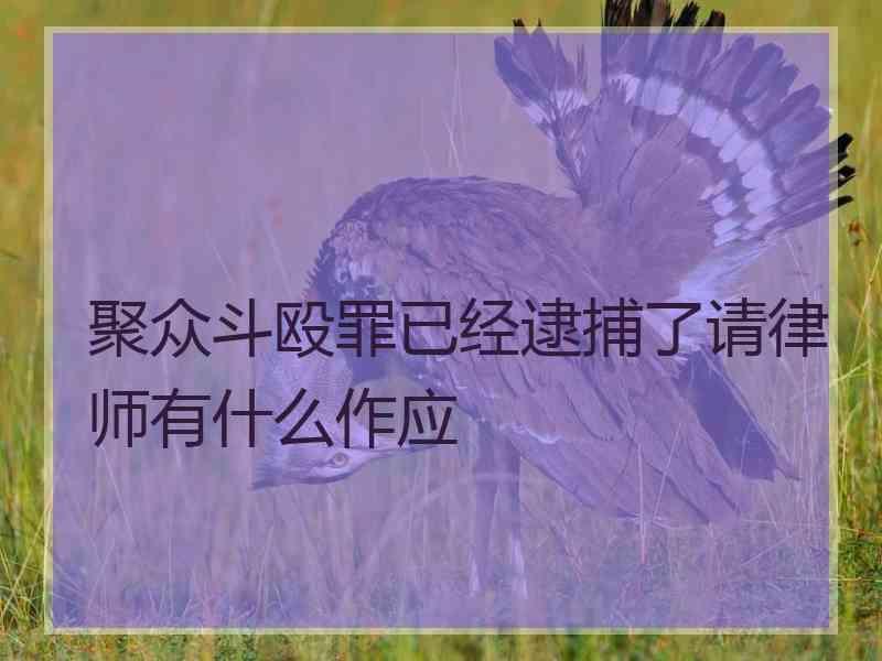 聚众斗殴罪已经逮捕了请律师有什么作应