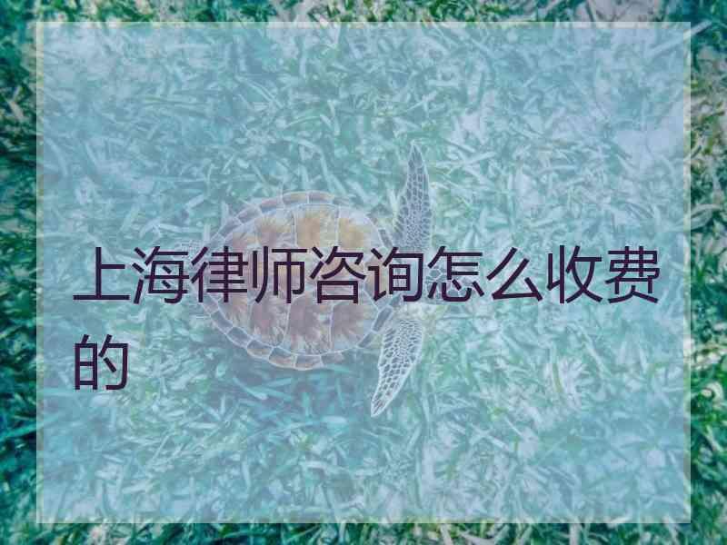 上海律师咨询怎么收费的