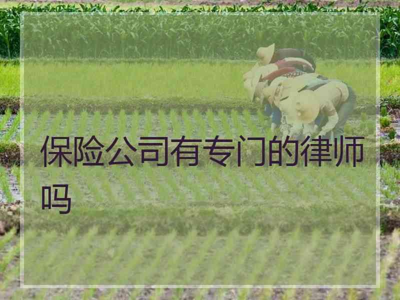 保险公司有专门的律师吗